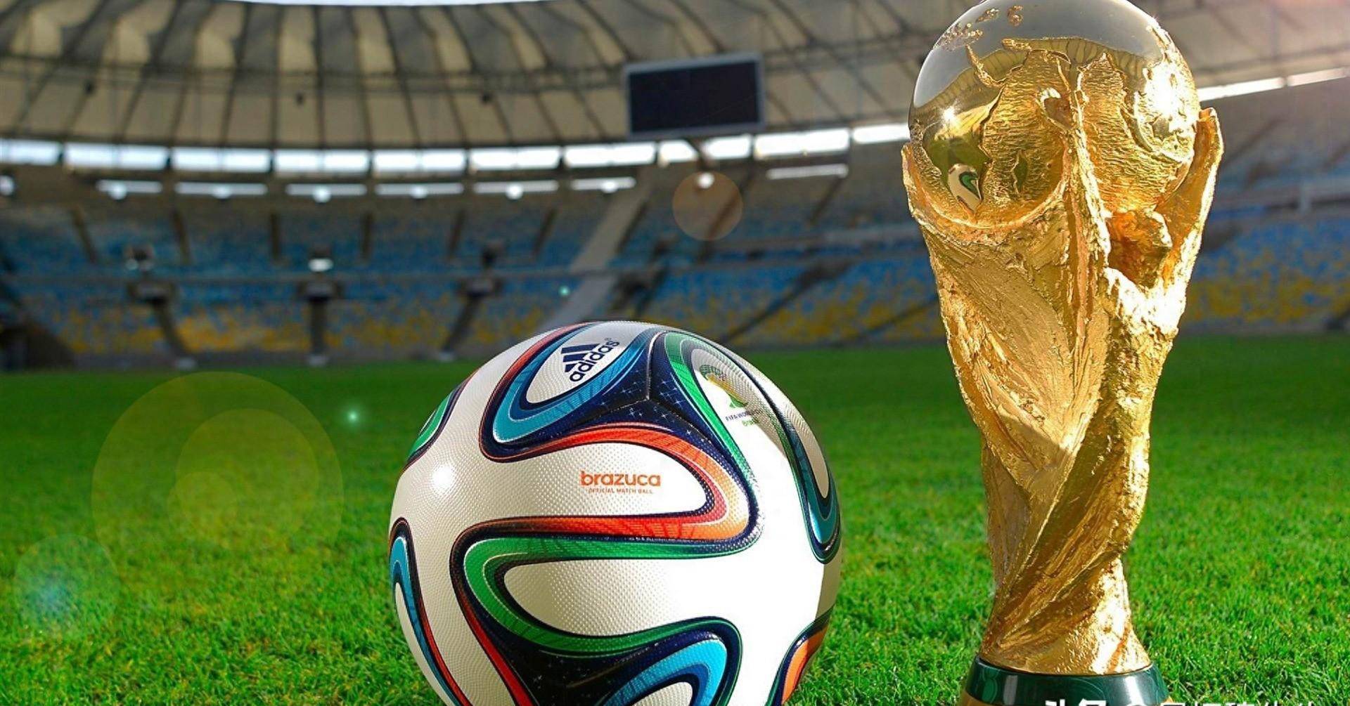 与赛事版权 与赛事版权