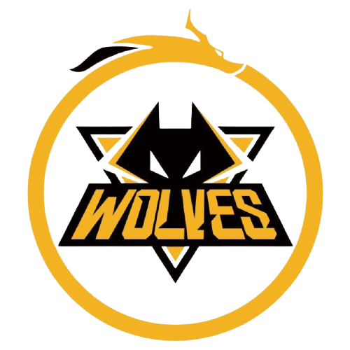 马赞比闯入 马赞比闯入